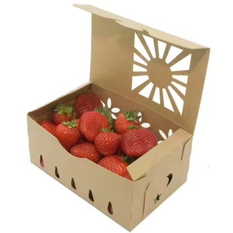 Kraft Fruit Packaging