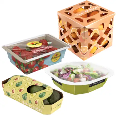 Fruit Salad Packaging 