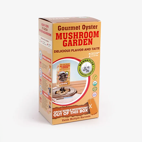 Mushroom Boxes 
