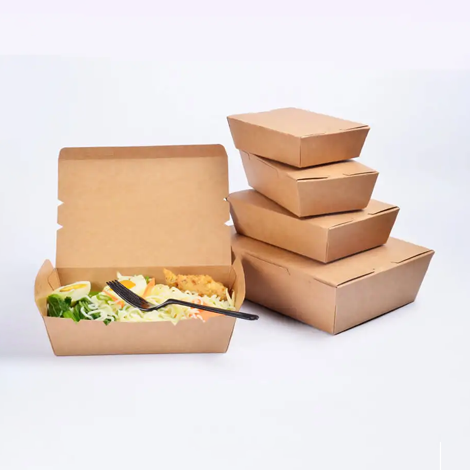 Paper Lunch Boxes 