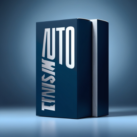 Auto Transmission Boxes 