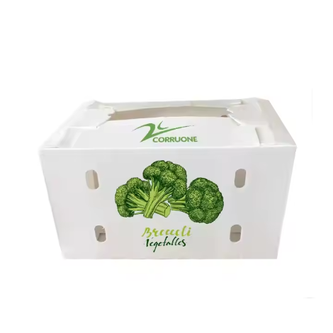 Broccoli Packaging 