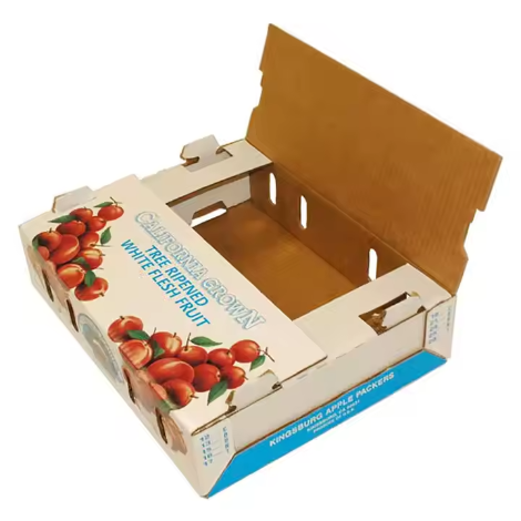 Cherry Tomato Packaging 
