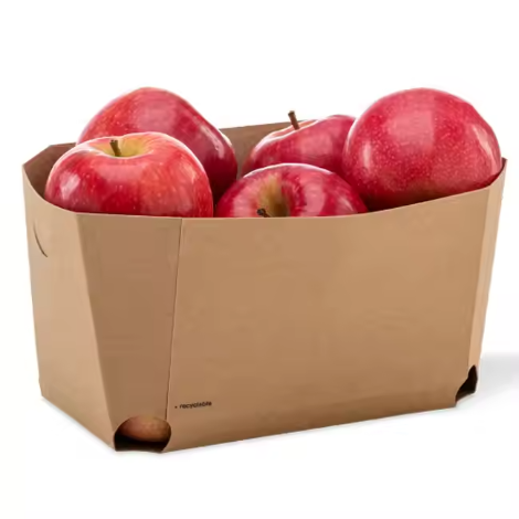 Apple Packaging Tray 