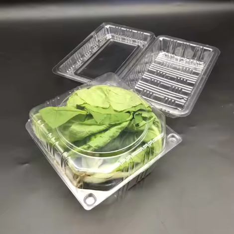 Cabbage Packaging 